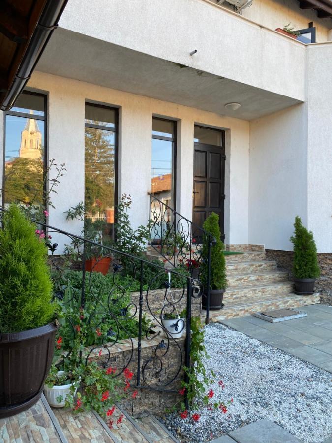 Pensiunea Aurelia Siria Exterior foto
