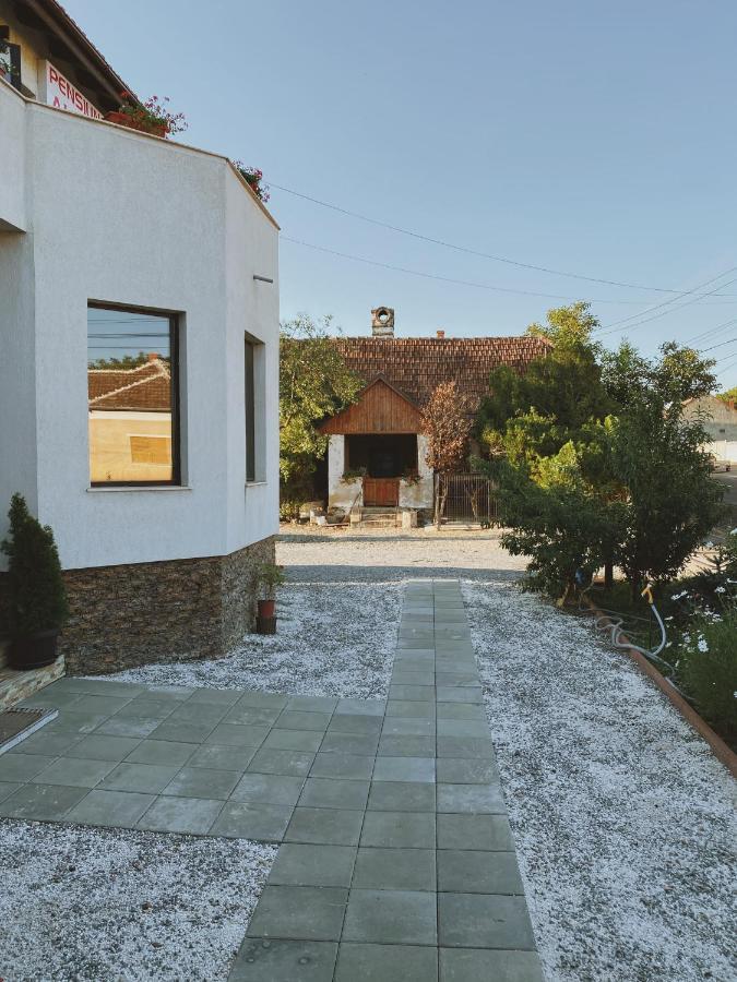 Pensiunea Aurelia Siria Exterior foto