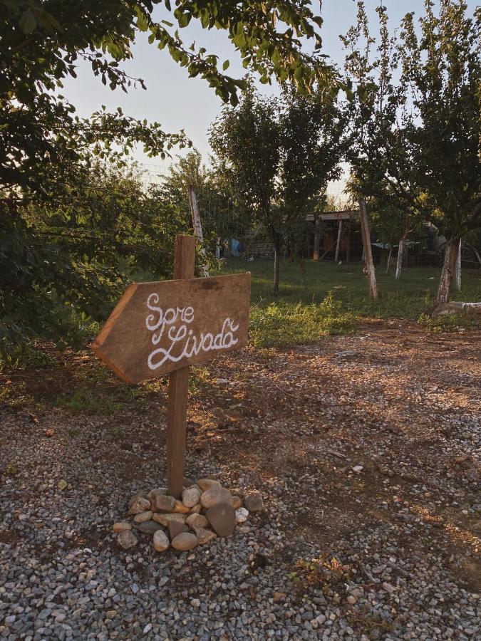 Pensiunea Aurelia Siria Exterior foto