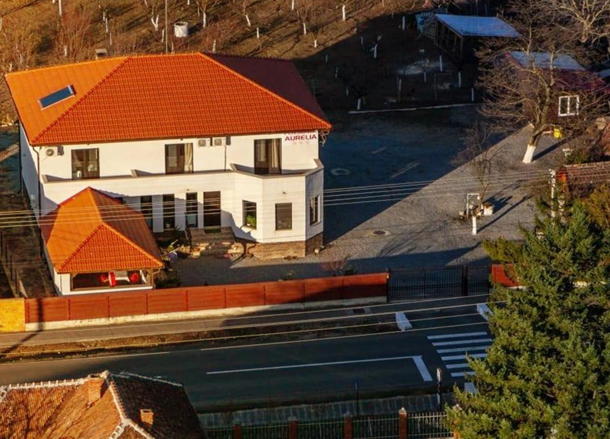 Pensiunea Aurelia Siria Exterior foto