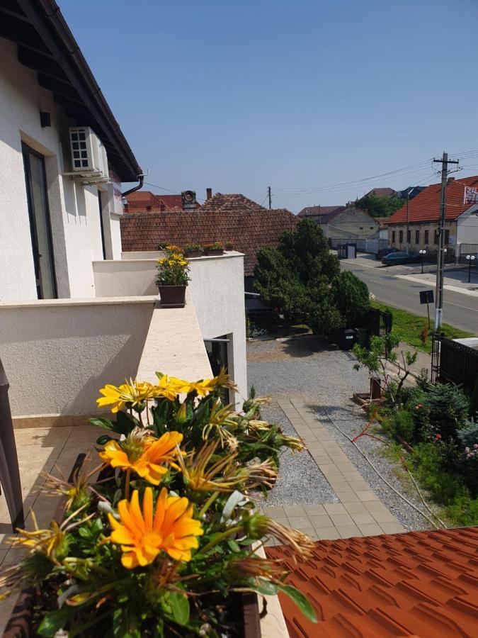 Pensiunea Aurelia Siria Exterior foto