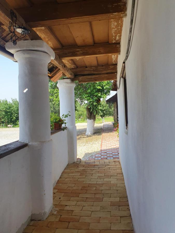 Pensiunea Aurelia Siria Exterior foto