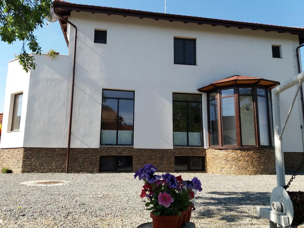 Pensiunea Aurelia Siria Exterior foto