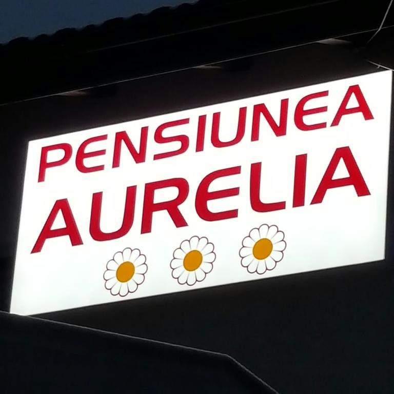 Pensiunea Aurelia Siria Exterior foto