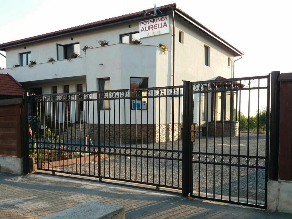 Pensiunea Aurelia Siria Exterior foto