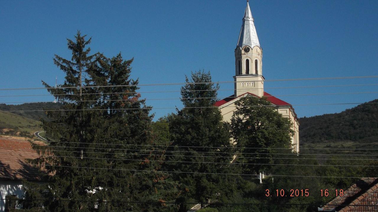 Pensiunea Aurelia Siria Exterior foto