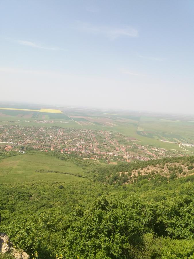 Pensiunea Aurelia Siria Exterior foto